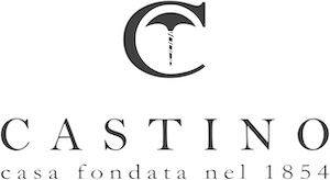 castion_logo